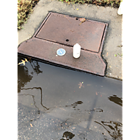 MTM king tide Oct27 image